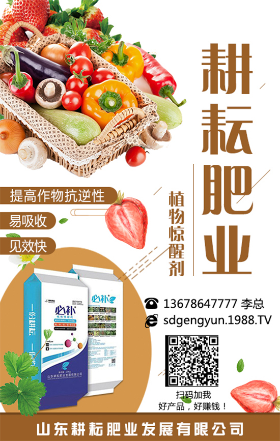 ���؃r(ji��)����m(x��)�»������վֲ��^(q��)�������Ј�(ch��ng)����2019��8��13��