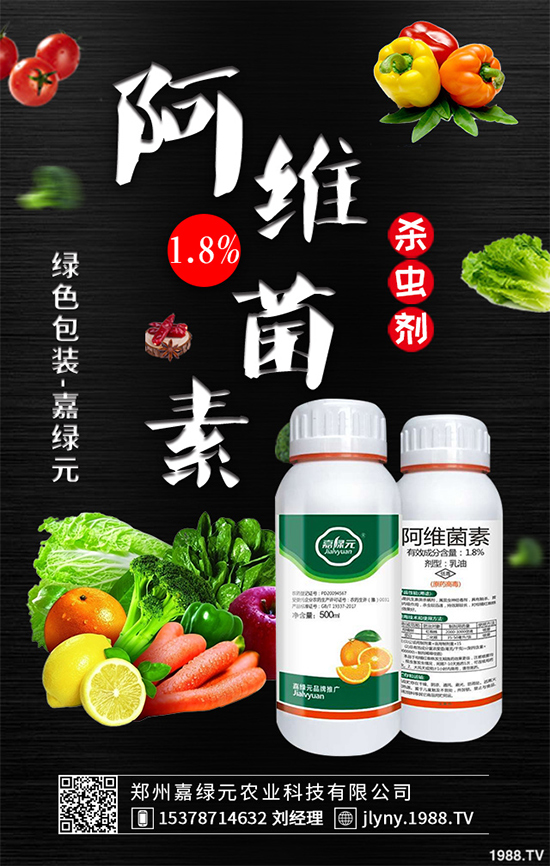 ɏź���x���r������