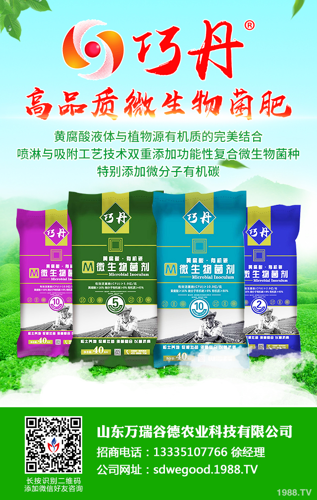 �z����˥��ô����Ч�������z����˥���η���