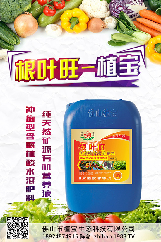 秋蘿卜什么時候種？該怎么種？2019秋蘿卜種植管理方案