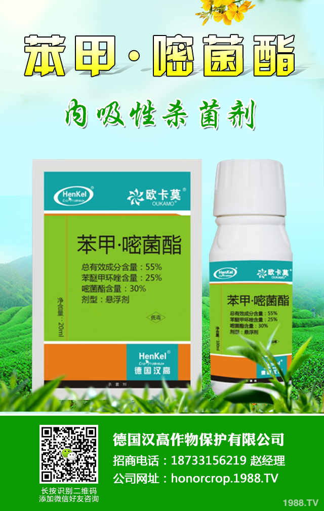 芋頭病蟲(chóng)害怎么辦？芋頭病蟲(chóng)害防治好方法