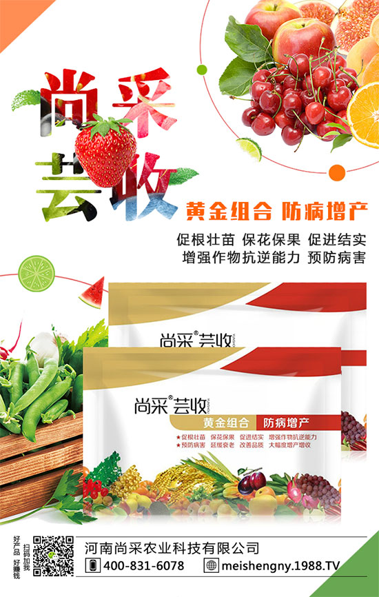 棗樹座果率低的原因是什么呢？棗樹如何提高座果率？