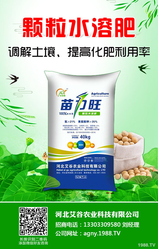     2019��8�µ�����?ch��)?gu��)��(n��i)һ�@�Ј�(ch��ng)�r(ji��)�������߄�(sh��)�����܈�(b��o)