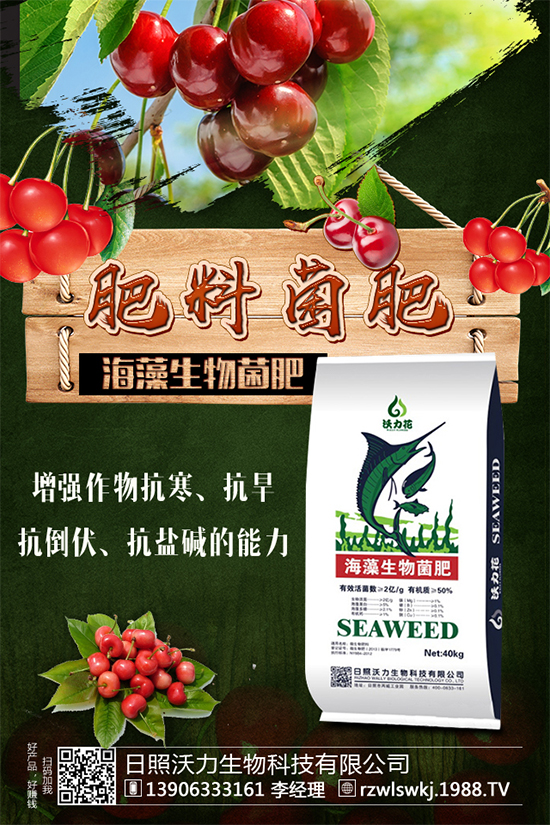 豆角要不要打尖？豆角的打尖方法有哪些？