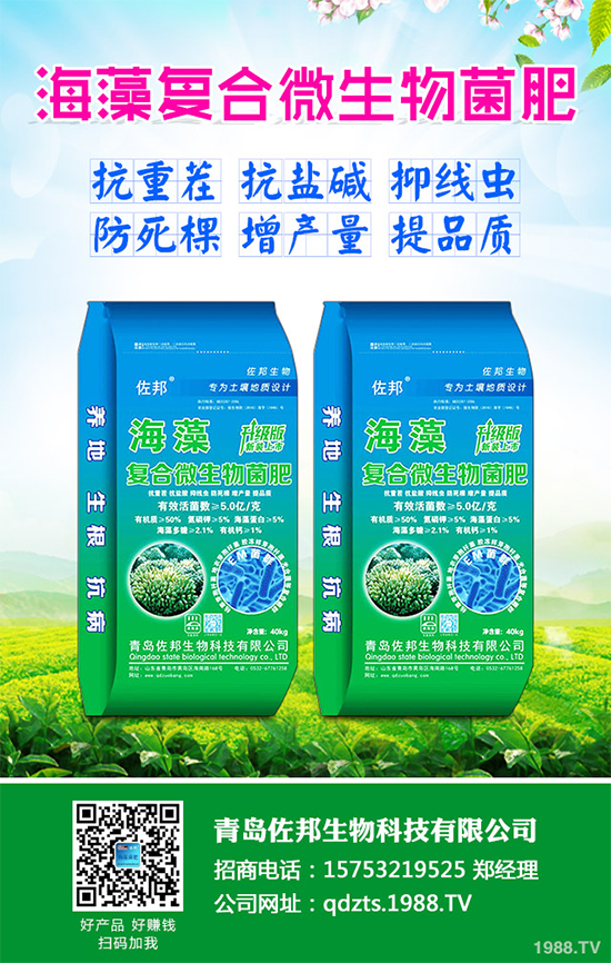     芹菜是日常生活中常見的蔬菜品種，對種植環(huán)境要求相對較高，只有在黏性土壤上才可以正常的生長。那么，芹菜什么時候種植比較好？大棚芹菜該如何種植呢？