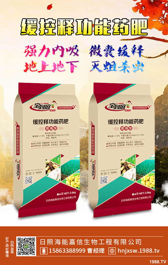 芹菜該如何種植？注意些什么？芹菜高產(chǎn)種植方案