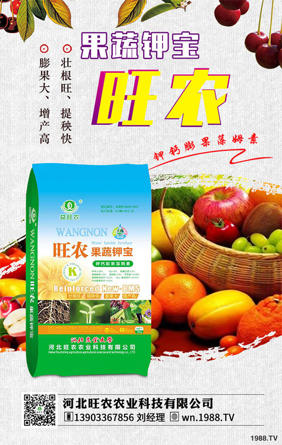 2019��8��26�ս������؃r�������Ո�(b��o)����������I(y��)���S�����rһ�[