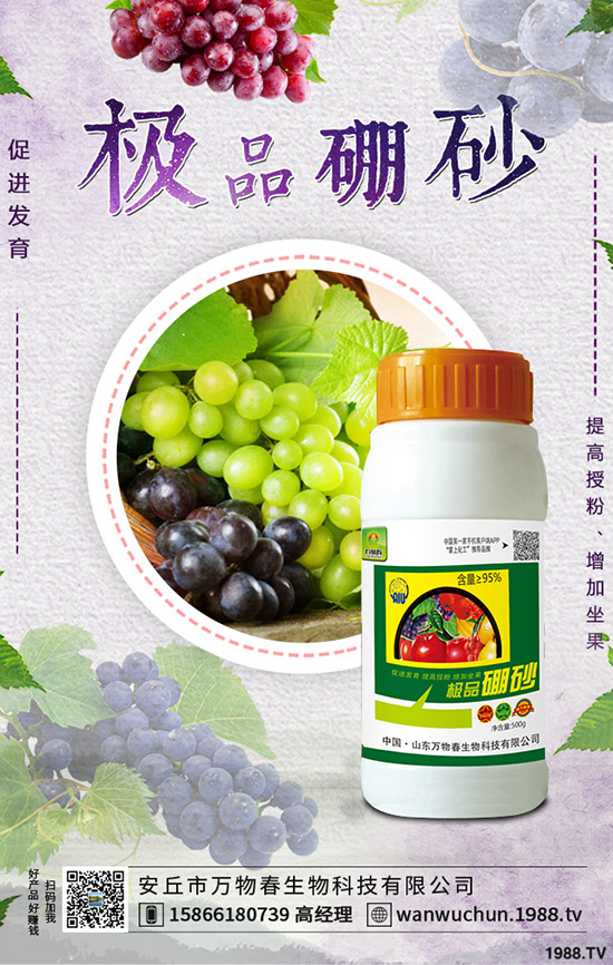 �����ηNֲ����轷Nֲ�l������Щ��