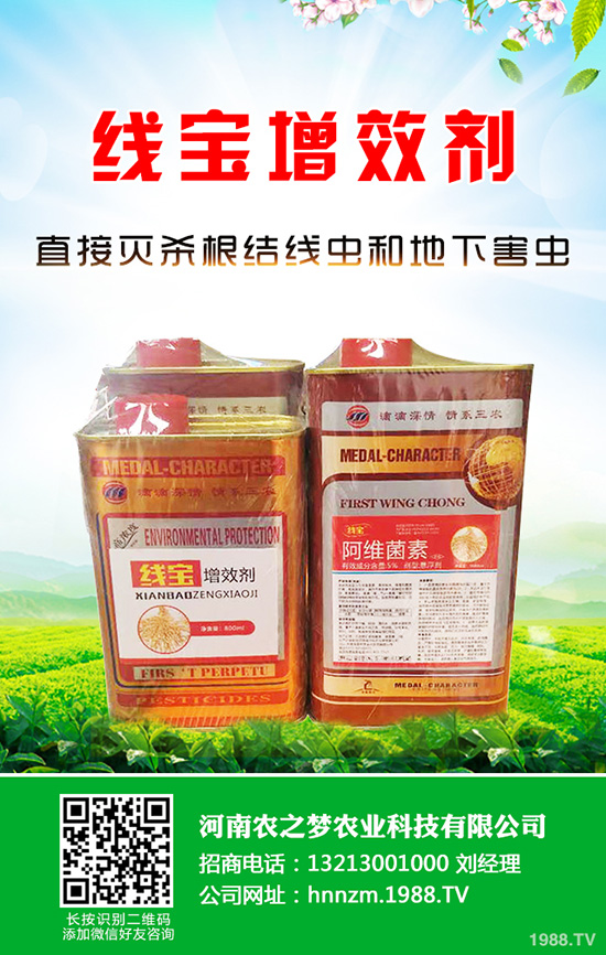 芹菜軟腐病是如何引起的？該怎樣防治？快來看看吧！