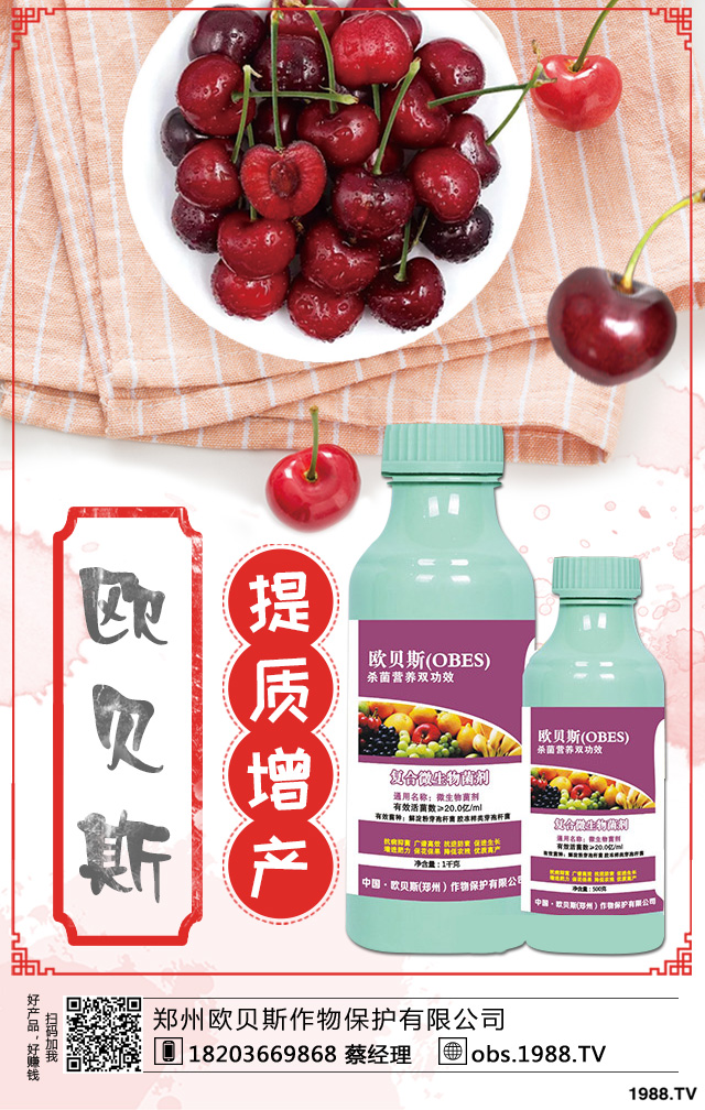 ��������ηNֲ������������༼�g(sh��)