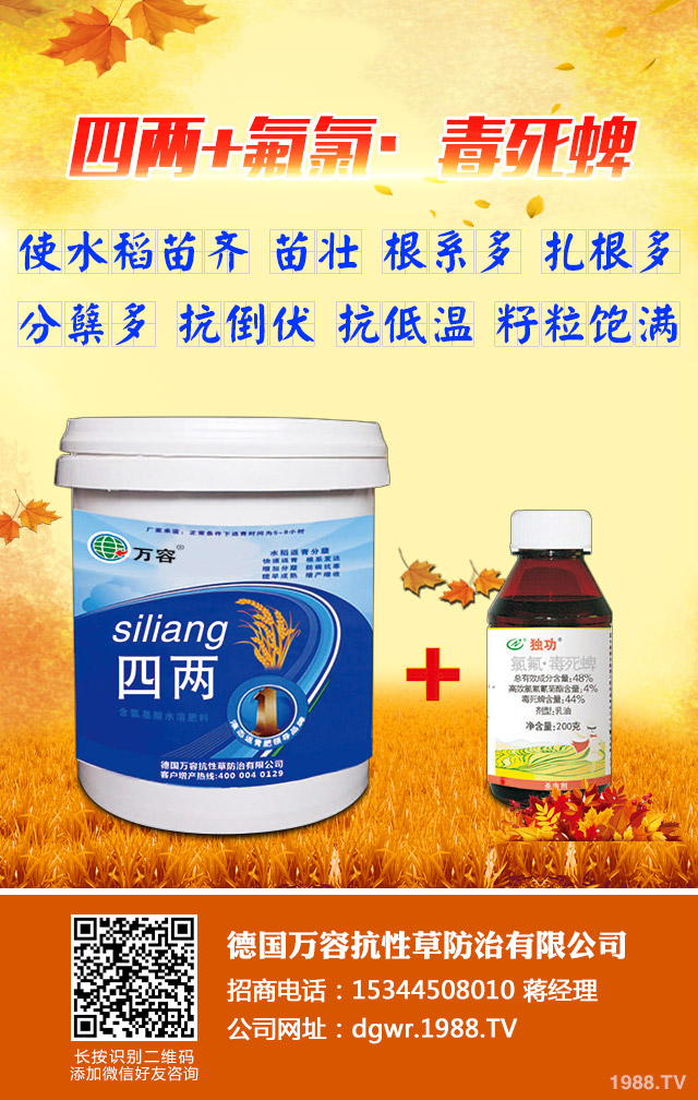 ��������݄�������Щ����������݄���B