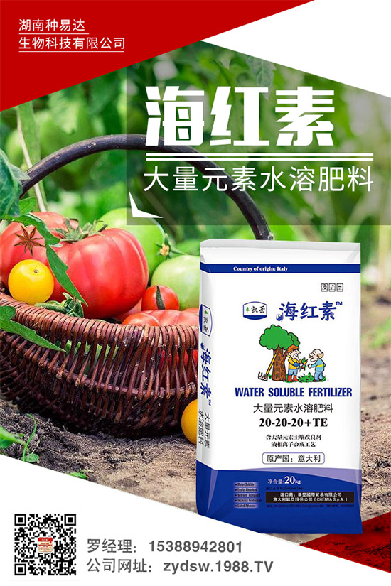 �＾��ݮ��ô�����＾�����ݮ�ĸ߮a(ch��n)���༼�g(sh��)���h(hu��n)��Ҫ��