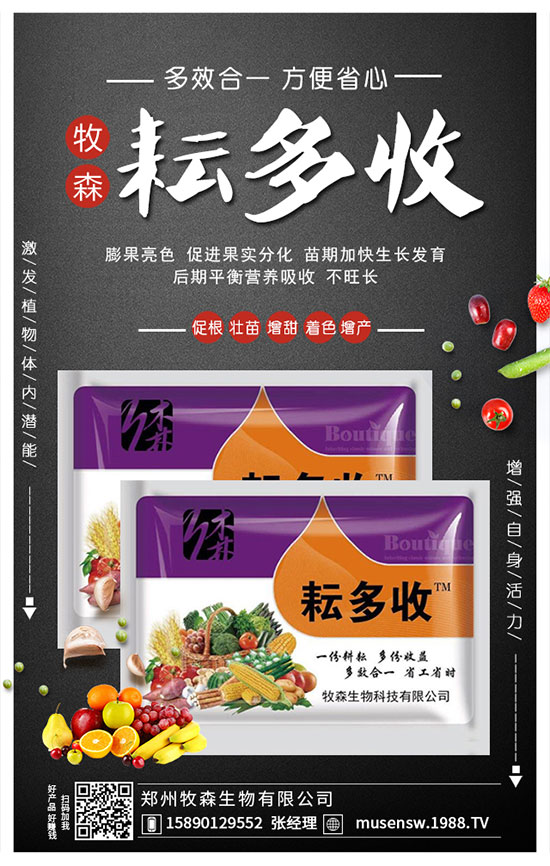 ���Շ���(n��i)�����������؃r��������S��rһ�[2019��8��29�գ�