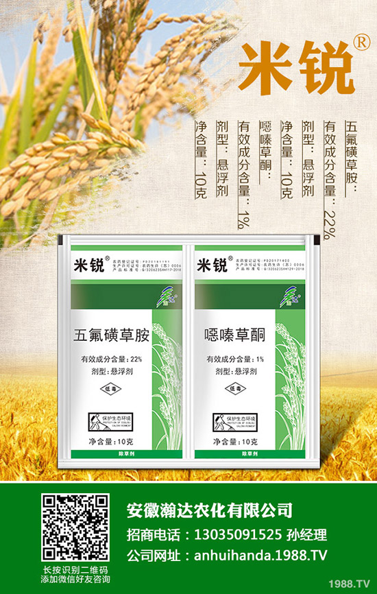 �Բ�������Щ��̎�����˵ĠI�B(y��ng)�rֵ����Щ��