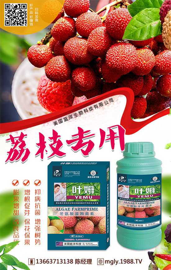 ���Շ���(n��i)�ͺϷʃr�����鼰�����A�y2019.8.29