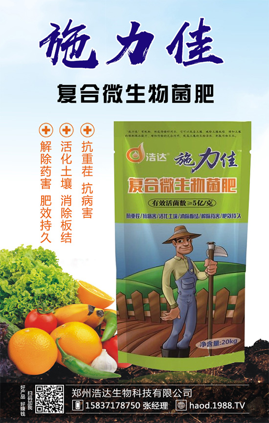 魔芋種植如何實(shí)現(xiàn)高產(chǎn)？魔芋高產(chǎn)栽培管理要點(diǎn)