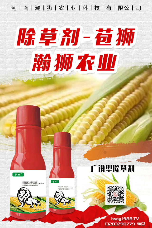 �������x����N���ò������������x����N����B