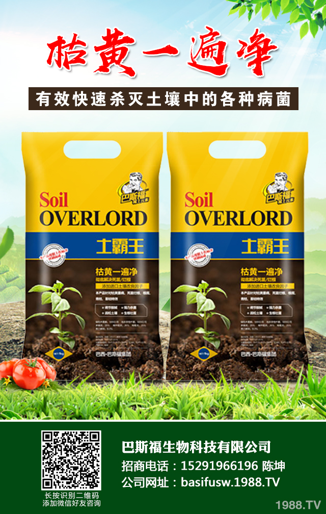 小麥葉子發(fā)黃怎么辦？小麥葉子發(fā)黃防治技巧