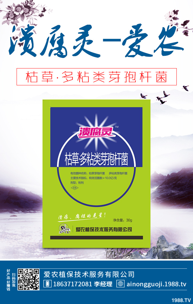 大白菜病害怎么防治？秋播大白菜病害防治方法