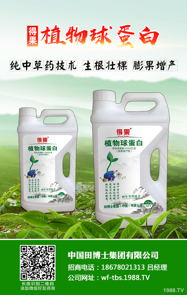 大蔥種植怎么管理？秋季大蔥管理好方法