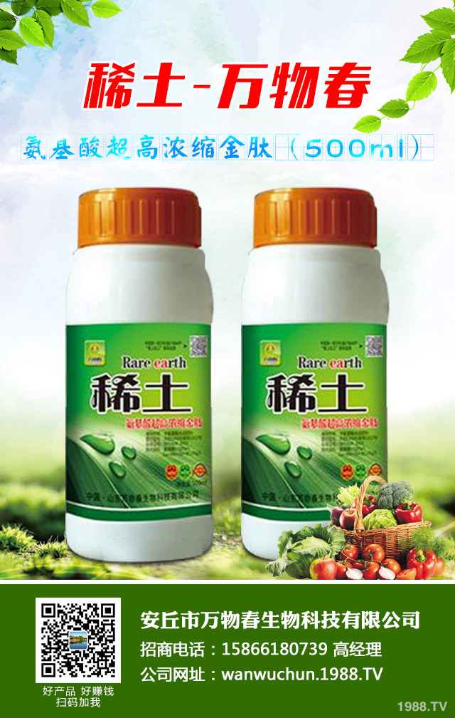 大蔥種植怎么管理？秋季大蔥管理好方法