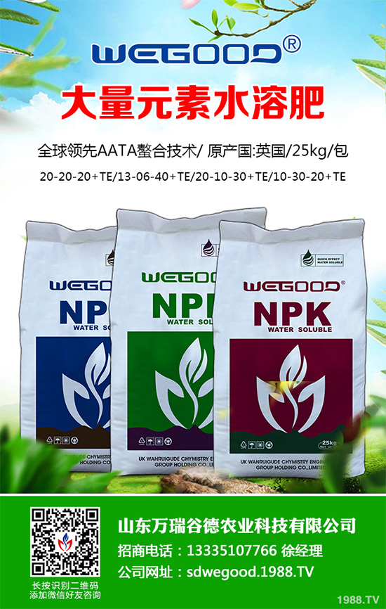 ���؃r(ji��)��