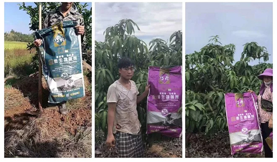 ��΢�������+�ЙC(j��)�ʡ�Ч��ţ����ʩһ���������ʡ���ָ߮a(ch��n)��