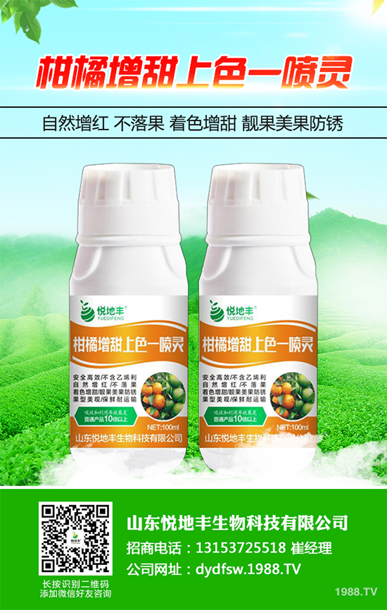 西蘭花該怎么種植？西蘭花高產(chǎn)種植技術要點