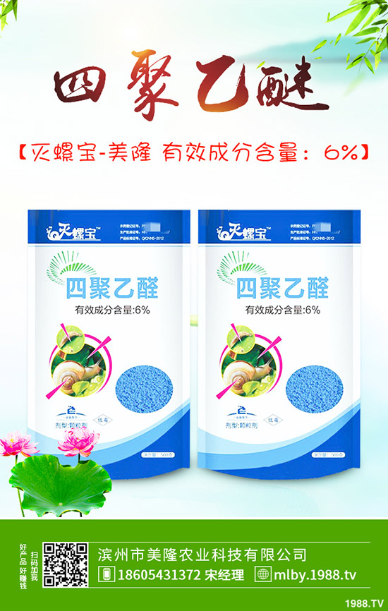 茄子該不該摘葉，茄子摘葉如何操作？