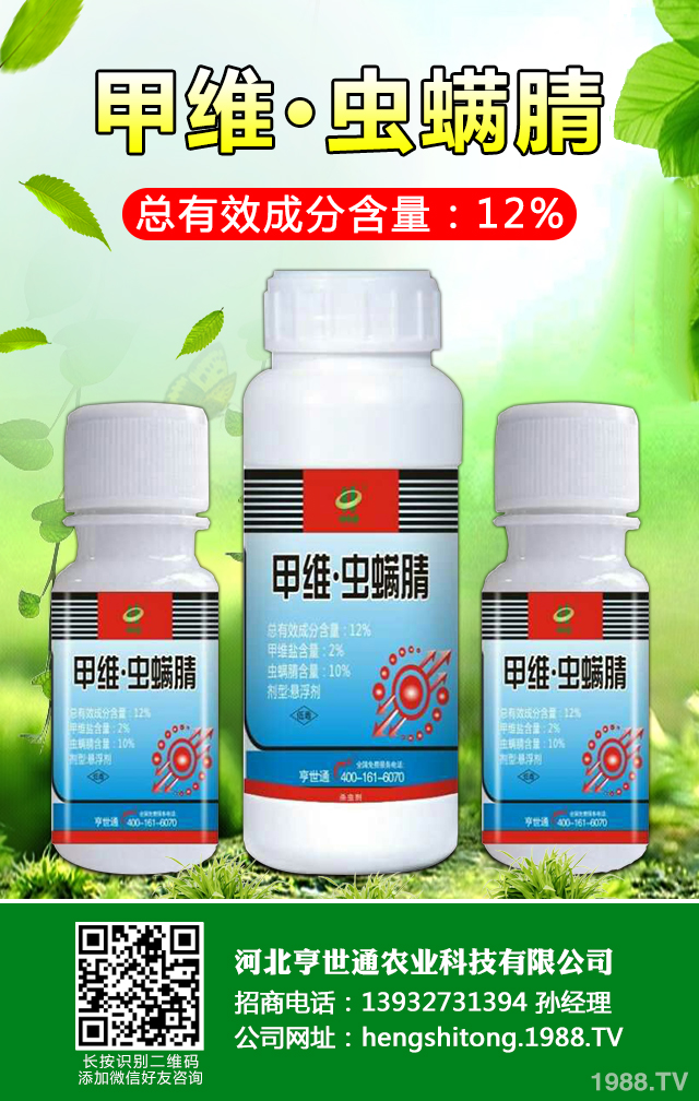 如何巧治馬鈴薯甲蟲害？馬鈴薯甲蟲害防治技巧