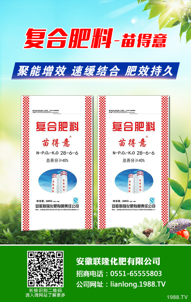 �t��������ô�������t������ȫ�����