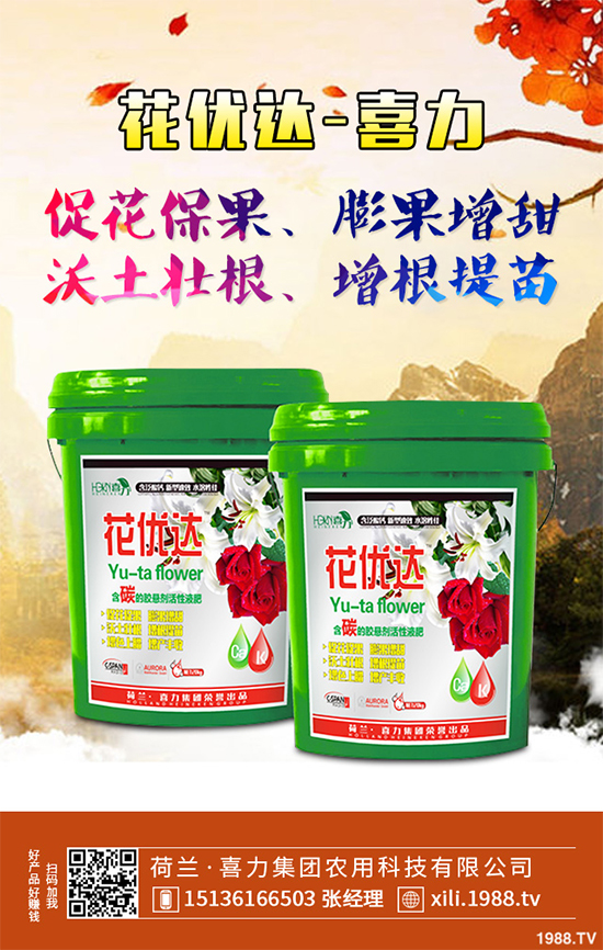 芥菜種植需要注意什么？芥菜高效種植技術(shù)及管理事項(xiàng)