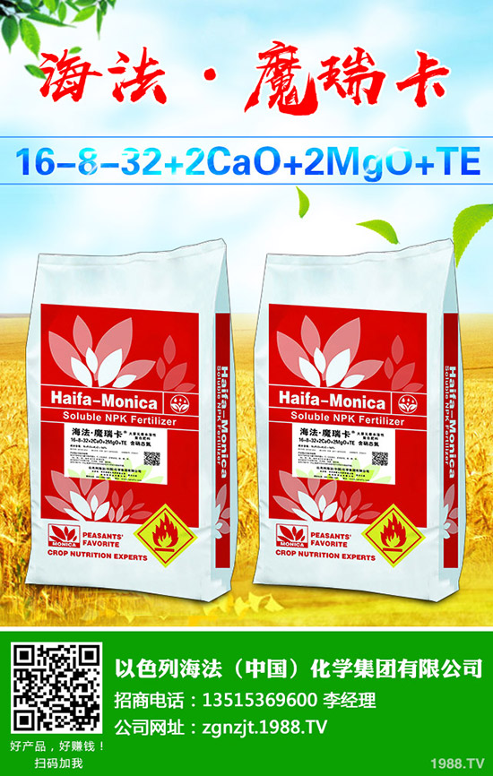     中秋節(jié)臨至！最新二銨價格行情走勢預測2019-9-11