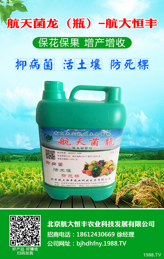 ���}��ʲô�r(sh��)��Nֲ�����}������Ҫ�c(di��n)��