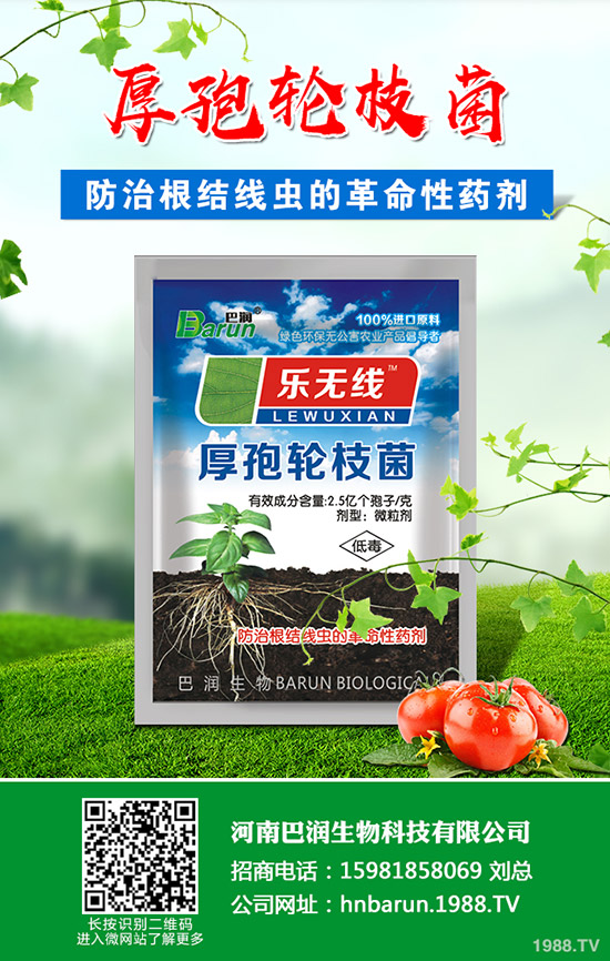 ��֦���~��ô�޼�����֦���~�޼�������