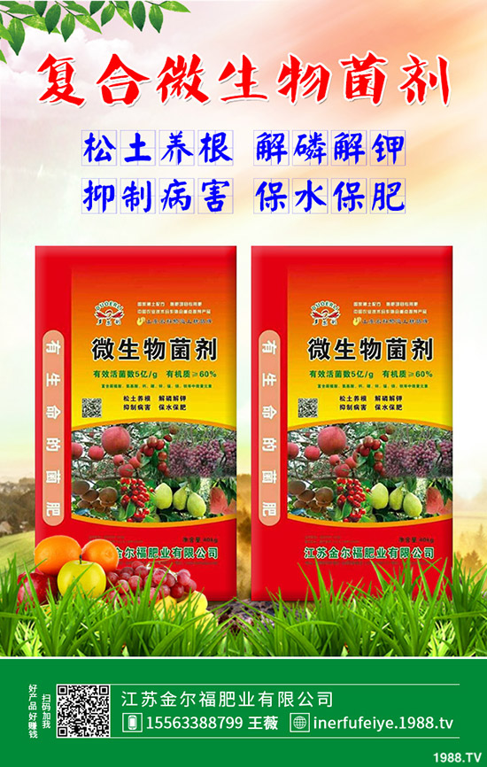 彩色花椰菜多少錢一斤？彩色花菜種植效益如何？