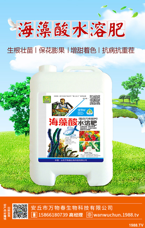 蘆薈多久澆一次水？蘆薈澆水注意事項！