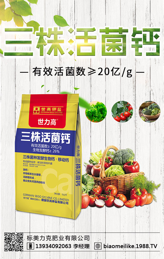 ���S��ʲô�r������������S�������ע�������