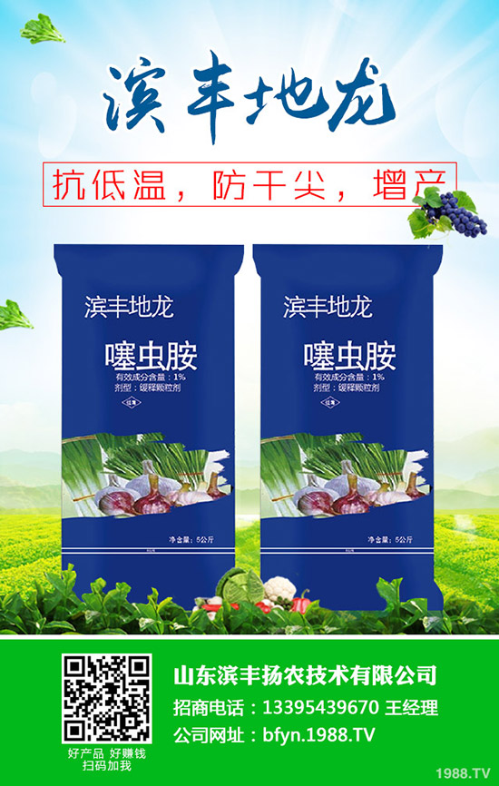     秋冬甘蔗什么時候種植？甘蔗的種植時間及種植技術！