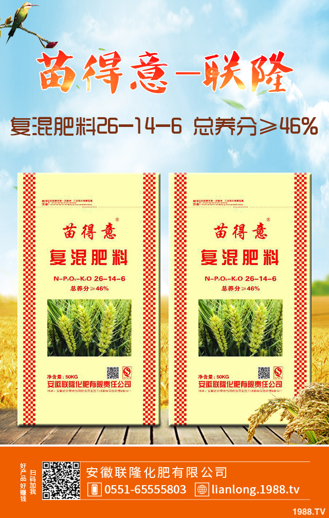 С����ô����Ч���ã�С�����������g����