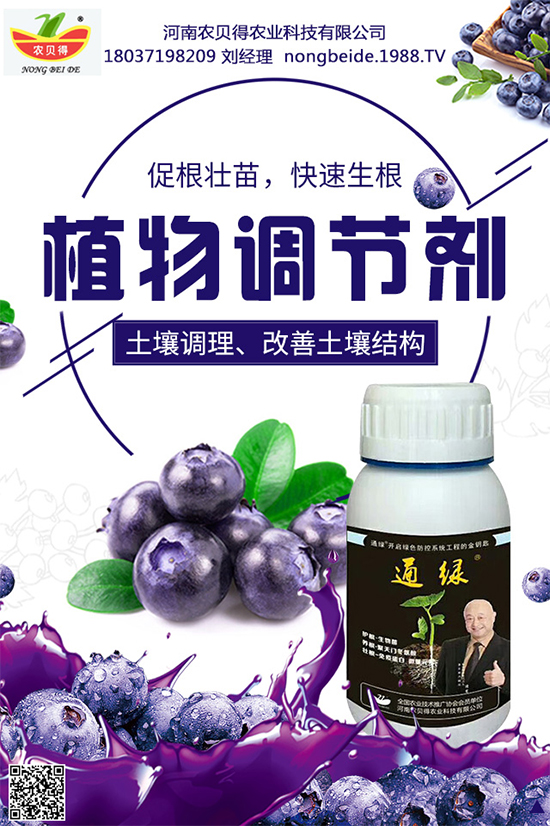 大蔥該如何育苗？育苗后大蔥管理方案