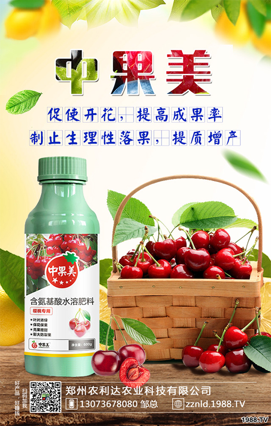 ��ʲô�r��N�Nֲ���𽷷NֲҪ�c��