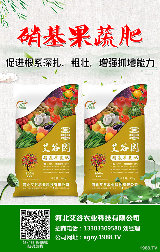 花椰菜與西蘭花的營(yíng)養(yǎng)價(jià)值有什么不同，花椰菜西蘭花的區(qū)別有哪些？