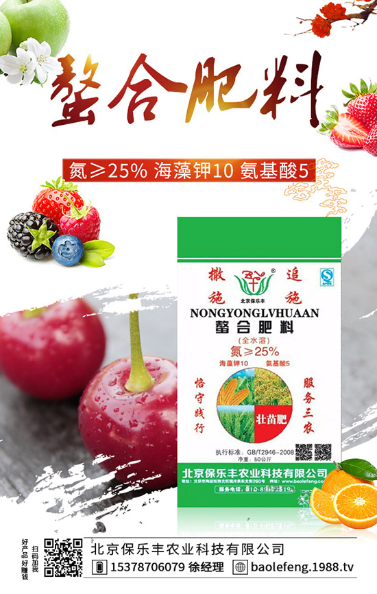 西紅柿如何打葉，西紅柿打葉技巧及注意事項(xiàng)