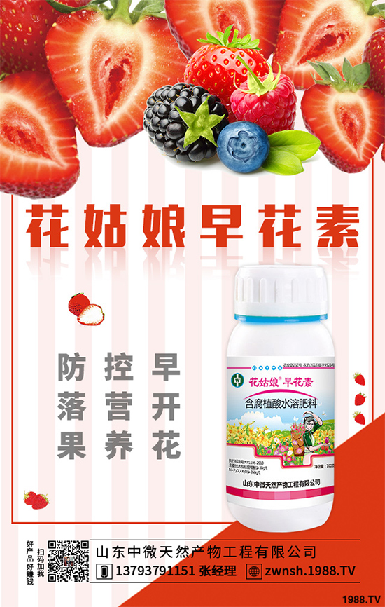 大蔥苗期病害有哪些危害表現(xiàn)？該如何預防？大蔥苗期病害預防措施