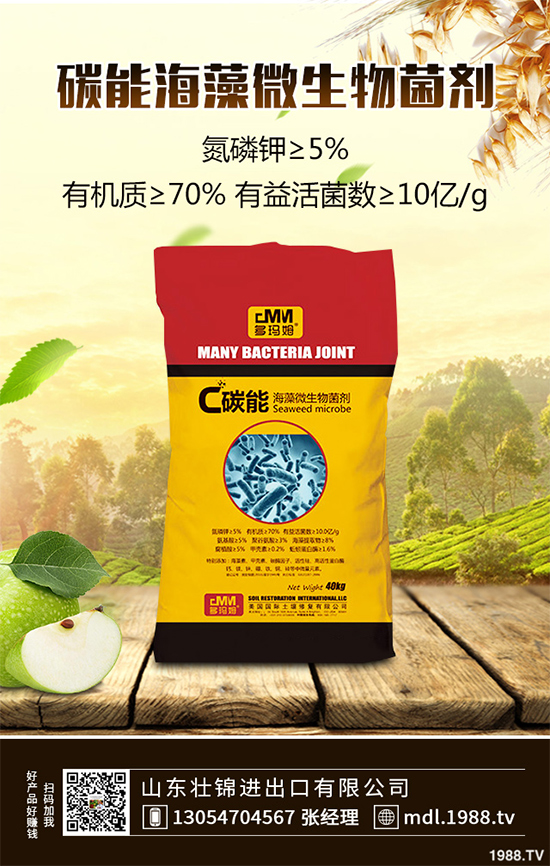 大蔥紫斑病有哪些危害？是如何引起的？大蔥紫斑病的防治措施