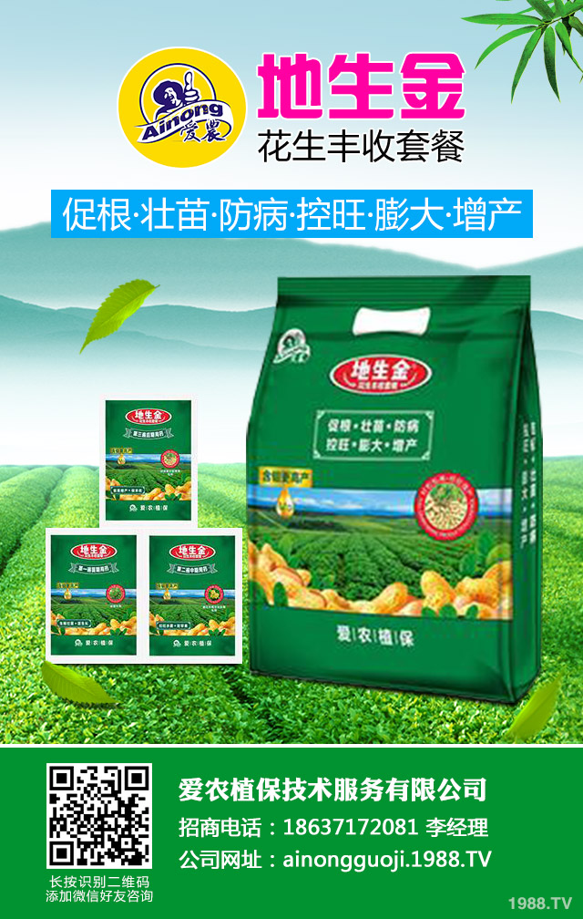 地膜棉花倒伏如何防治？地膜棉花倒伏應(yīng)對(duì)措施