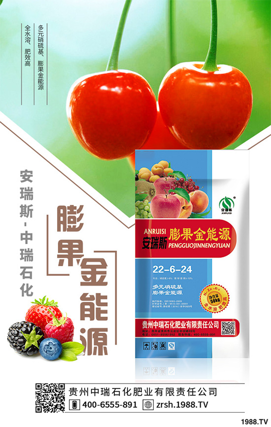 �n��ԓ����������n�����ڹ������gҪ�c