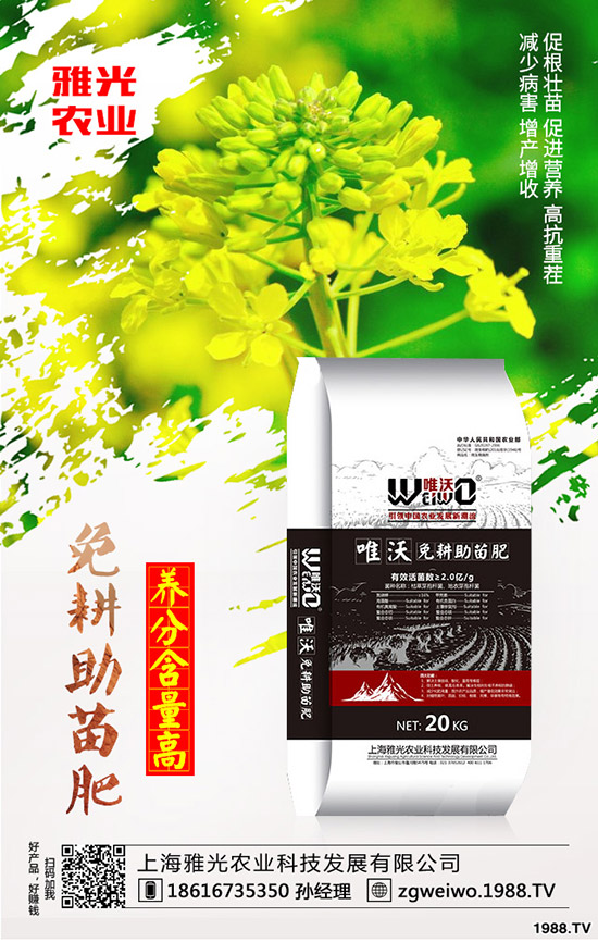 紫薯有哪些營(yíng)養(yǎng)價(jià)值，紫薯與紅薯相比哪個(gè)更有營(yíng)養(yǎng)？