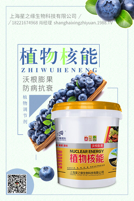 番茄菌核病有哪些癥狀，番茄菌核病危害及防治！